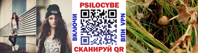 Галлюциногенные грибы Cubensis  Купить где  Кондопога 